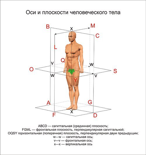 Как называются движения вокруг сагиттальной оси