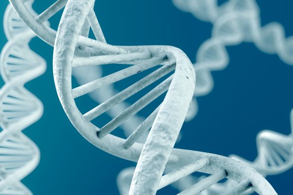 Генетики показали, где в геноме связаны все аллергические реакции 