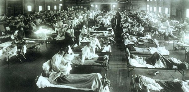 Эпидемиологи придумали, как предсказывать пандемии гриппа 