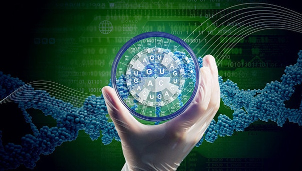 В наркотической зависимости у людей виноваты вирусы, считают генетики В наркотической зависимости у людей виноваты вирусы, считают генетики