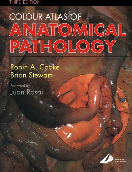Цветной атлас по патологической анатомии (на английском языке), 2004.