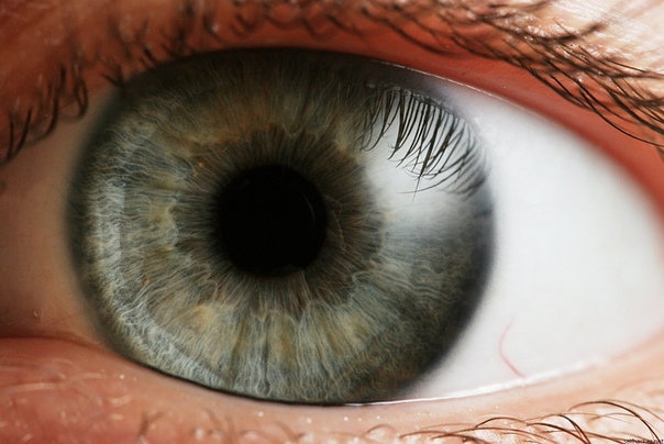 Исследователи победили слепоту, использовав особый вирус