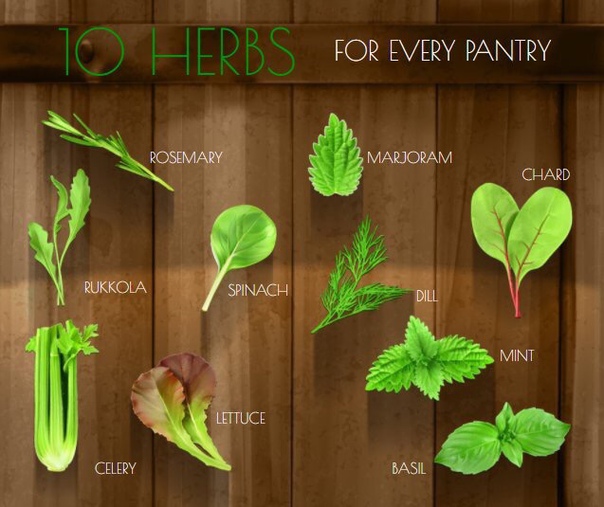 10 трав, которые должны быть на вашей кухне: