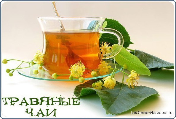 Травяные чаи ускоряют метаболизм, очищают организм, а помимо этого – они необычайно ароматны и вкусны.