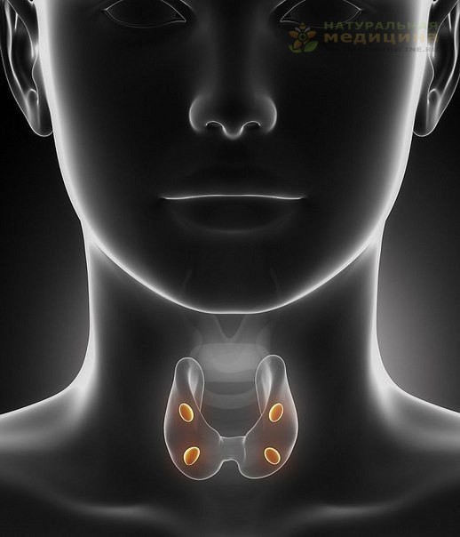 Кaк проблемы щитовидки отрaжaютcя нa коже